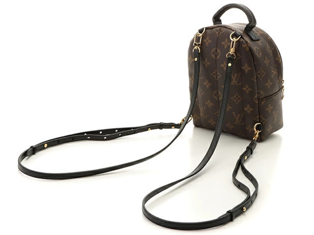 Louis Vuitton Palm Springs Backpack Monogram Brown